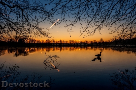 Devostock Light Dawn Landscape 32862 4K