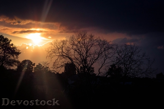 Devostock Light Dawn Landscape 37666 4K