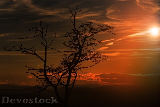 Devostock Light Dawn Landscape 55805 4K
