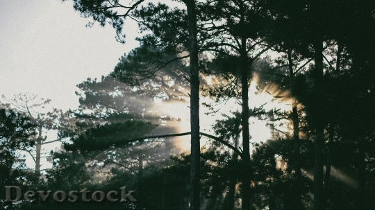 Devostock Light Dawn Landscape 62327 4K