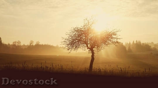 Devostock Light Dawn Landscape 63391 4K