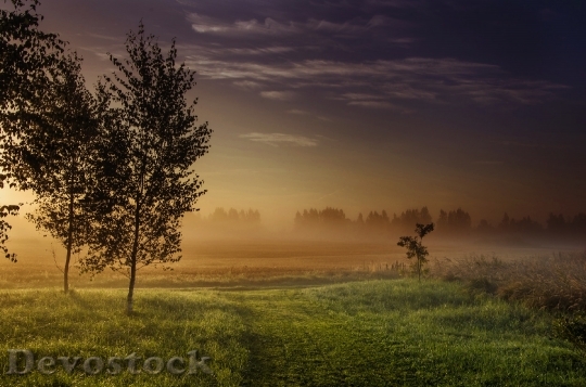 Devostock Light Dawn Landscape 73583 4K