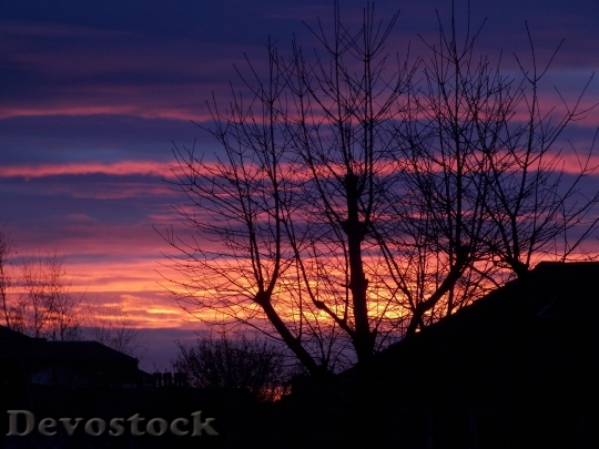 Devostock Light Dawn Landscape 92091 4K