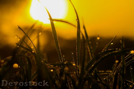 Devostock Light Dawn Sunset 190745 4K
