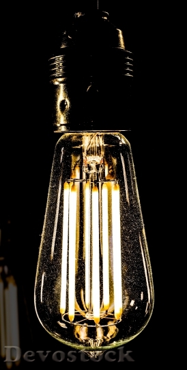 Devostock Light Glass Light Bulb 14821 4K