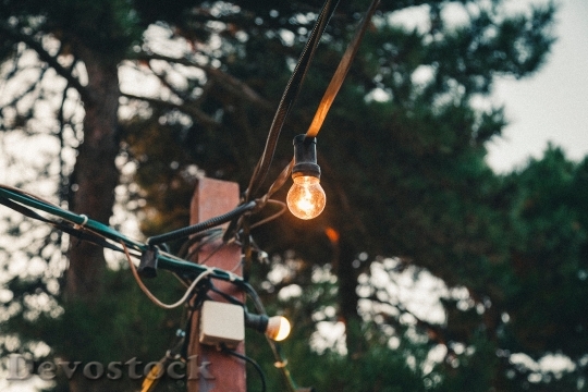 Devostock Light Light Bulb Bulb 122068 4K