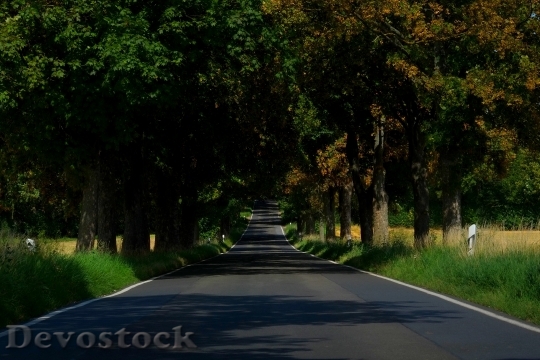 Devostock Light Road Landscape 10138 4K