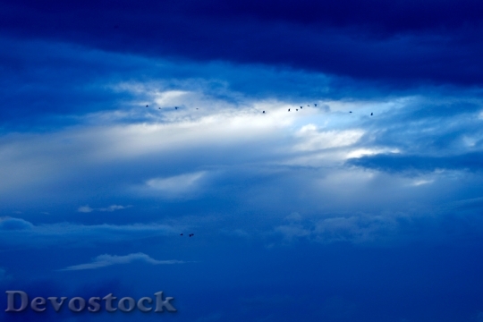 Devostock Light Sky Clouds57019 4K