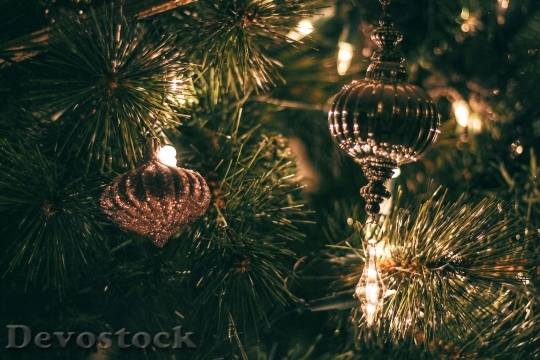 Devostock Lights Tree Christmas 52536 4K