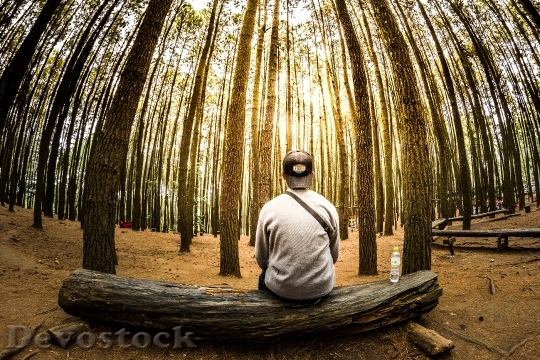 Devostock Man Person Forest 17896 4K