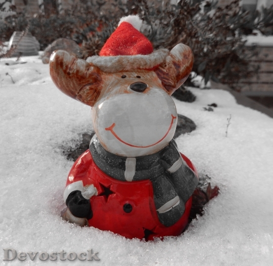 Devostock Moose Christmas Snow 115609 4K