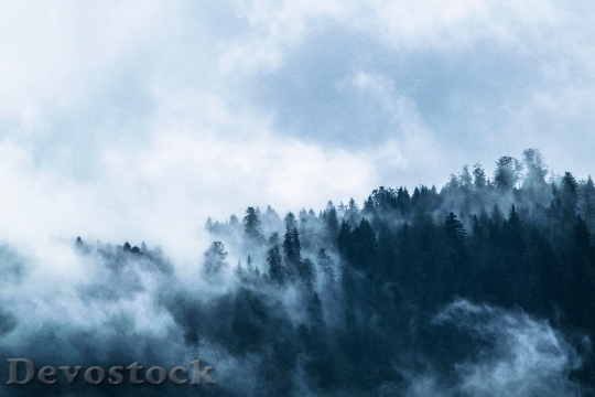 Devostock Nature Clouds Forest 15872 4K