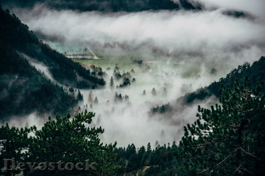 Devostock Nature Cloudy Forest 55276 4K