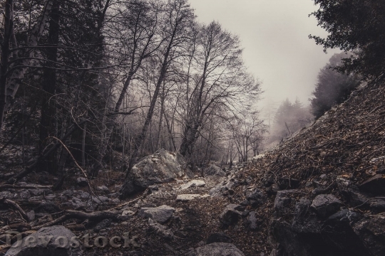 Devostock Nature Dirty Rocks 42896 4K
