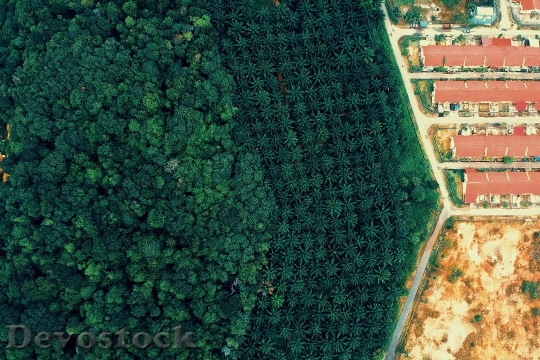 Devostock Nature Wood 122123 4K.jpeg