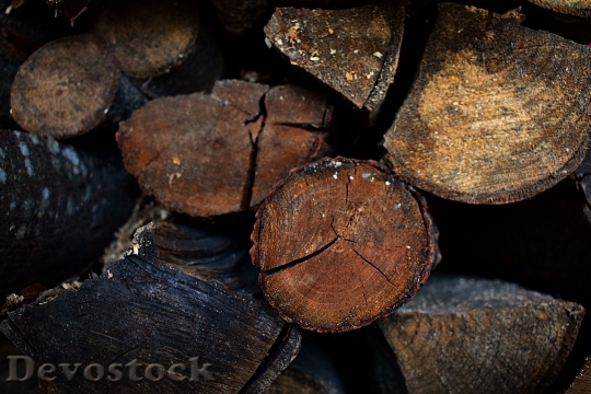 Devostock Nature Wood 170737 4K.jpeg