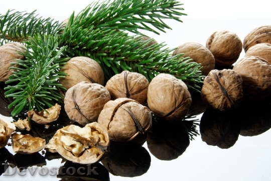 Devostock Nut Nutshells ChristmasTime 4K
