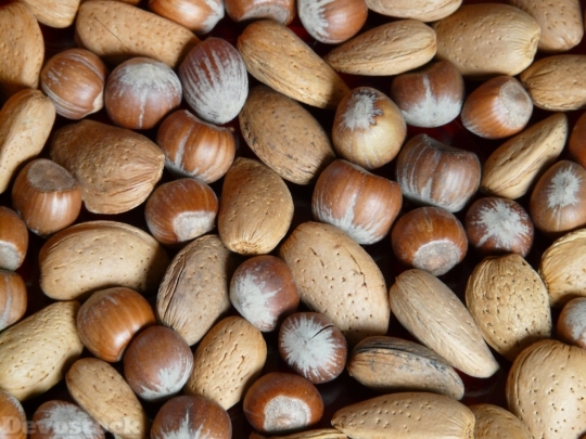 Devostock Nuts Almonds Hazelnuts Wanuts 4K