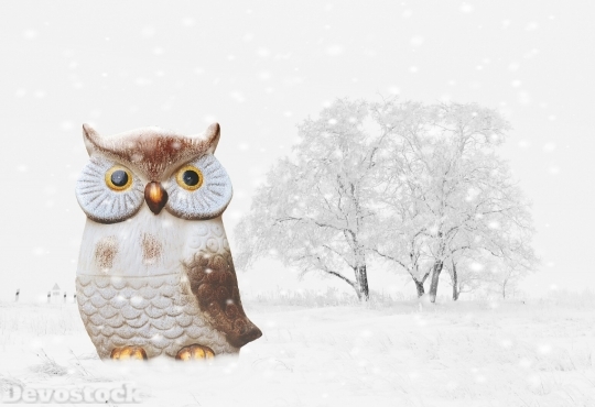 Devostock Owl Winter SnowBird 4K