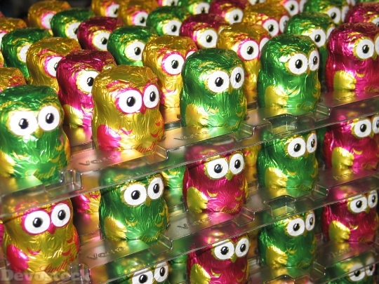Devostock Owls Chocolate Lindt Colorul 0 4K