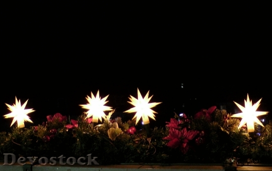 Devostock Poinsettia Light ChristmasTime 4K