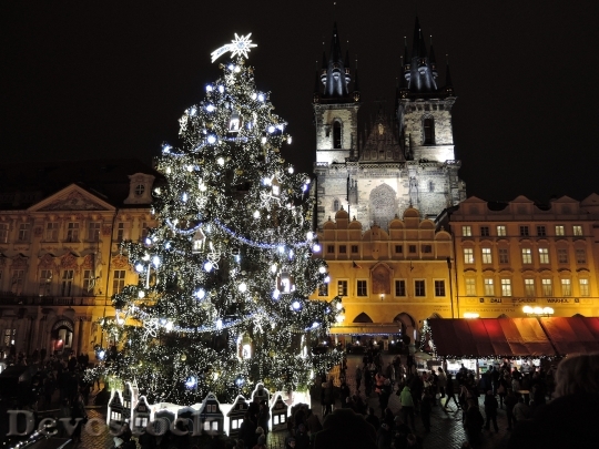 Devostock Prague Christmas Tree 139185 4K