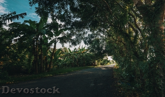 Devostock Road Landscape Nature 138621 4K