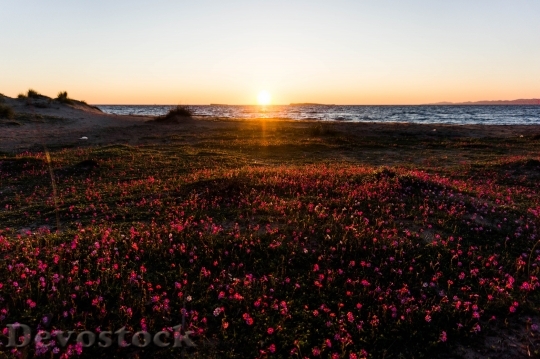 Devostock Sea Dawn Landscape 100360 4K
