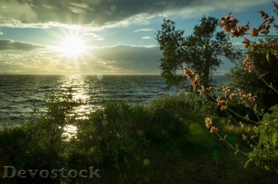 Devostock Sea Dawn Landscape 8959 4K