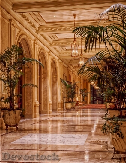 Devostock Sheraton Palace Hotel Lobby Architecture San Francisco 53464 4K.jpeg