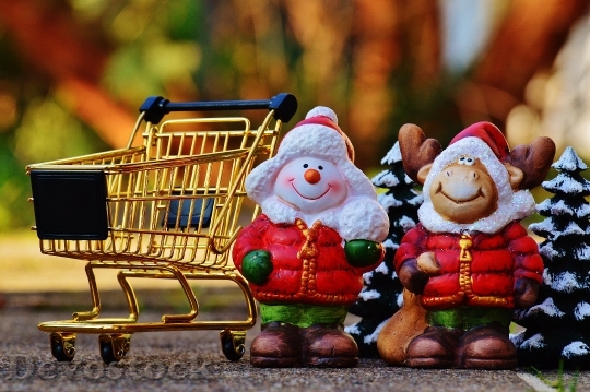 Devostock Shopping Cart Christmas Shoping 4K