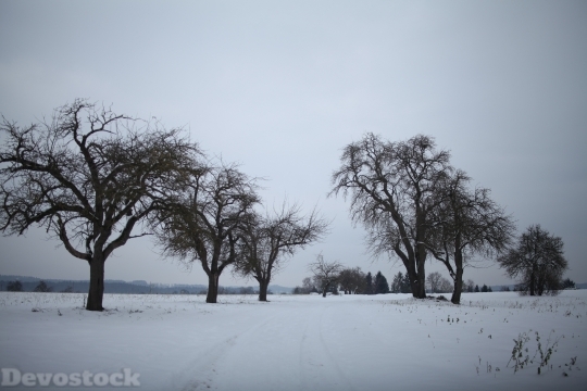 Devostock Snow Landscape Frost Wntry 4K