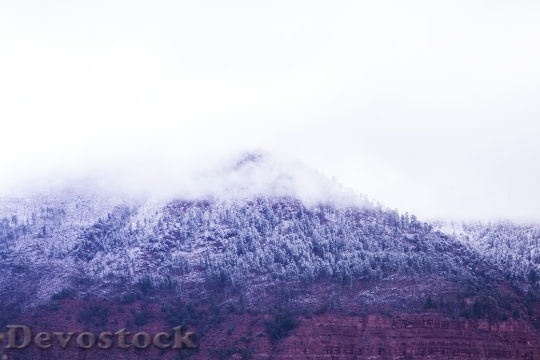 Devostock Snow Wood Light 45116 4K