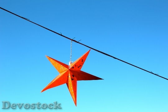 Devostock Star Red Christmas Poinsetia 2 4K