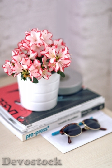 Devostock Sunglasses Plant Flower Dign 4K