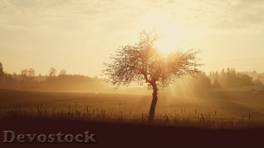 Devostock Sunrise Sun Skies Nature 163391 4K.jpeg