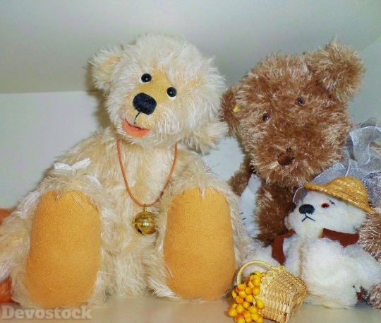 Devostock Teddy Bears Hand abor 4K