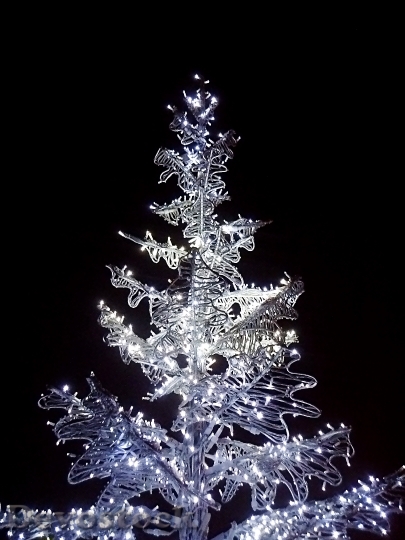 Devostock Tree Christmas Tree 15931 4K