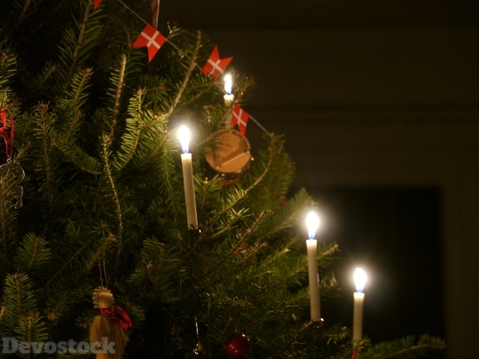 Devostock Tree Danish Ornament Chritmas 4K