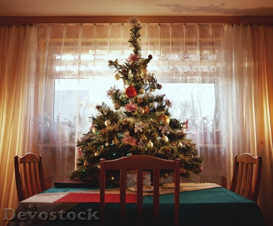Devostock Wasylko Nikon Christmas Tree 140 4K.jpeg