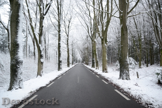 Devostock Winter Frost Fog Road 7787 4K.jpeg