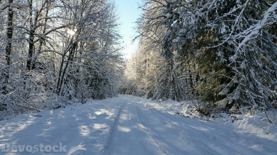 Devostock Winter Frost Snow Natre 4 4K