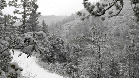 Devostock Winter Landscape Snow Cld 4 4K