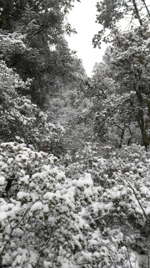 Devostock Winter Landscape Snow Cld 5 4K