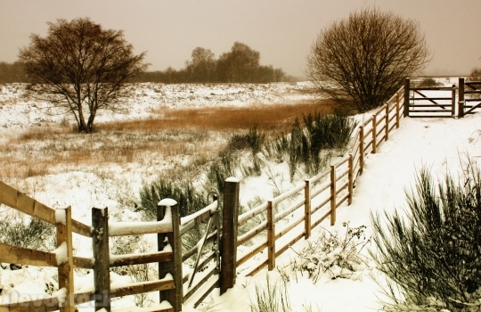 Devostock Winter Landscape Snow Natre 1 4K