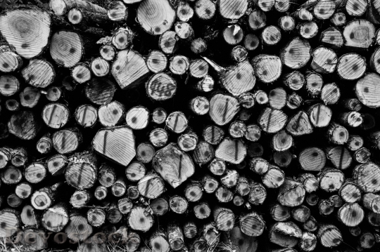 Devostock Wood Black And White Industry 20963 4K