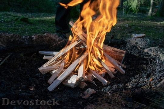 Devostock Wood Firewood Fire 100180 4K