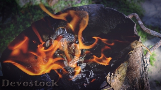 Devostock Wood Firewood Fire 24388 4K
