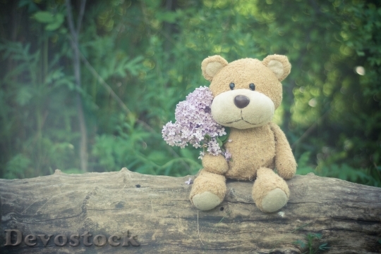 Devostock Wood Flowers Teddy Bear 10530 4K