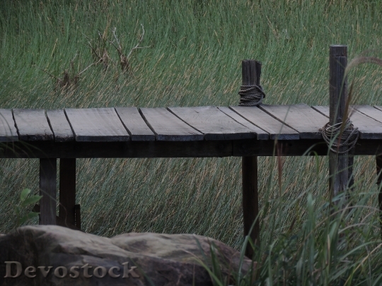 Devostock Wood Grass Rock 15028 4K